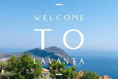 Bethany, Lavanta, *